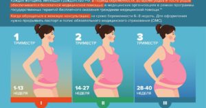 Узи при беременности: на каких сроках делают