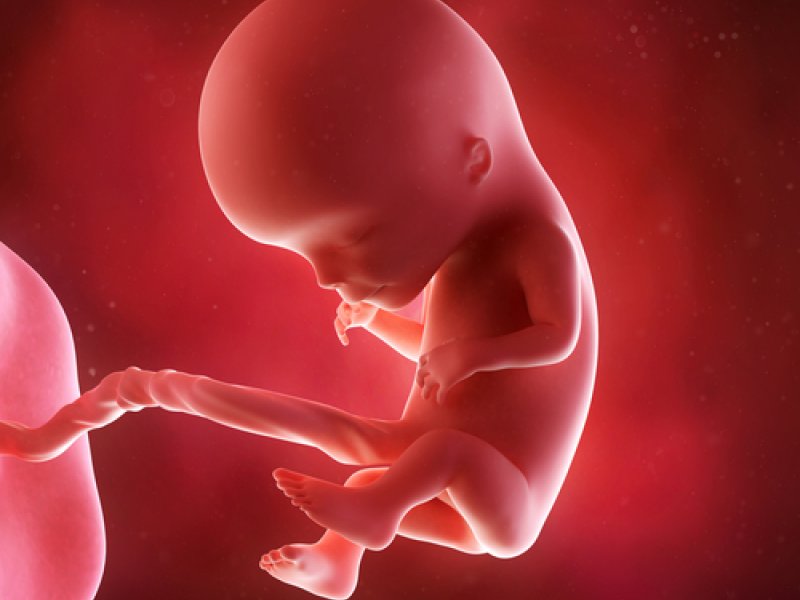 11 неделя беременности: что происходит с малышом и мамой?