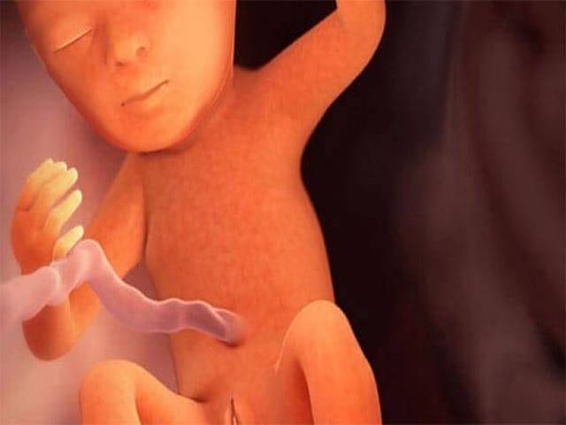 17 неделя беременности: что происходит с малышом и мамой, фото, развитие плода