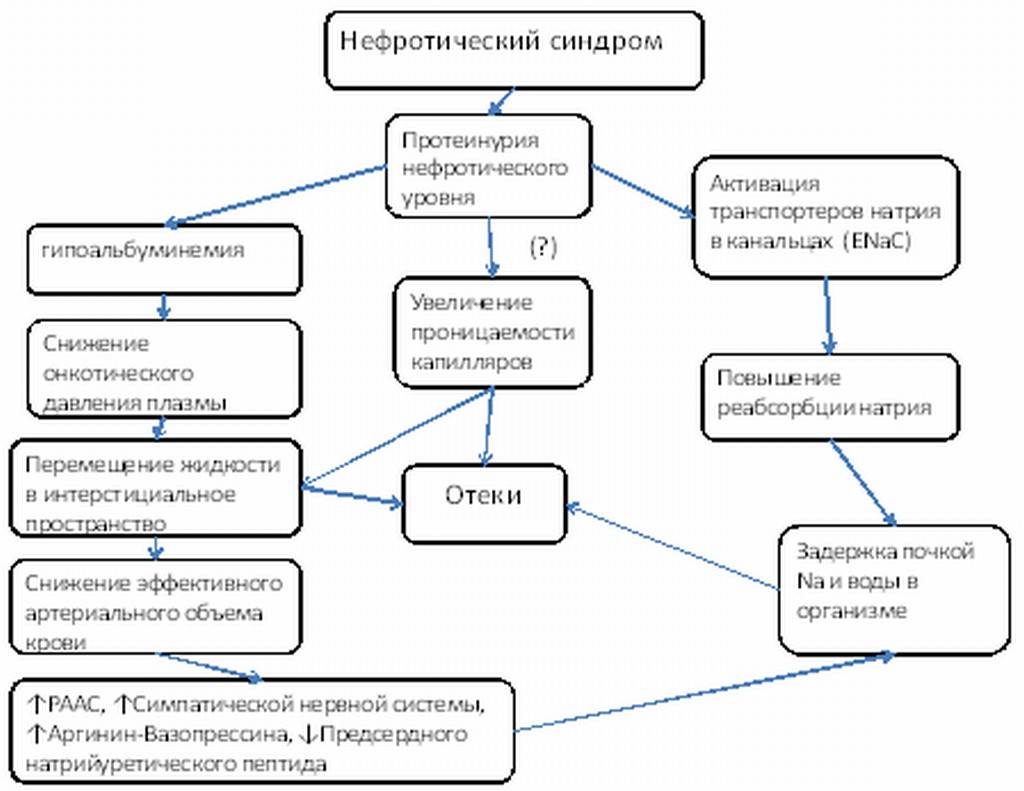 Нефротический синдром клиническая картина