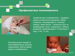 Непривитый ребенок и вакцинация от полиомиелита – может ли заразиться от привитого живой вакциной?
