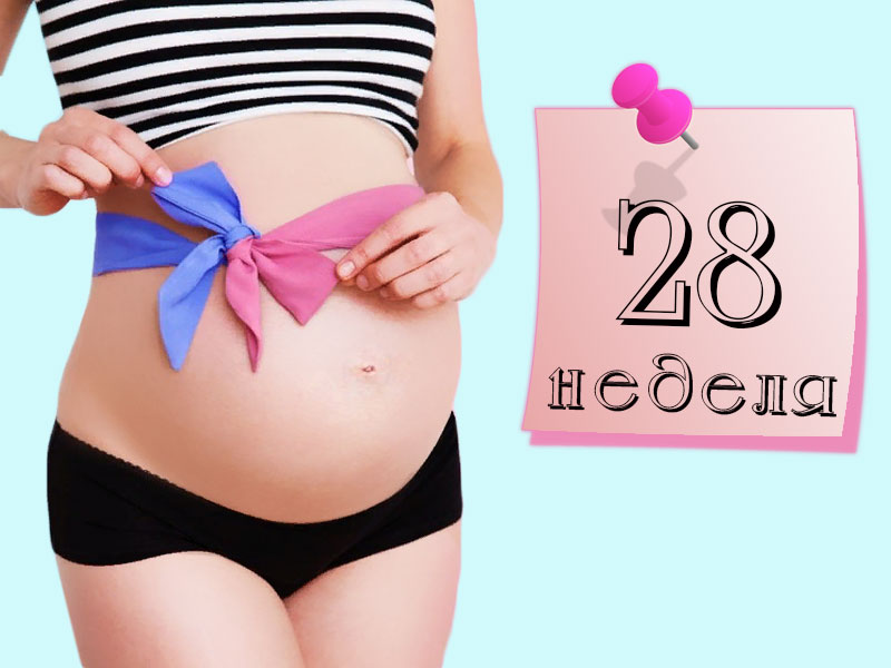 28 неделя беременности: признаки и ощущения женщины, симптомы, развитие плода