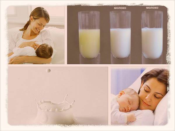 Молоко после родов: кормление по всем правилам