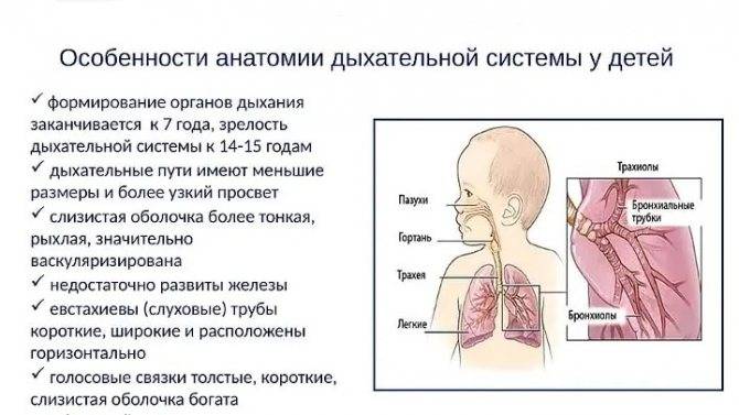 Одышка (диспноэ): причины нехватки воздуха, лечение затруднённого дыхания