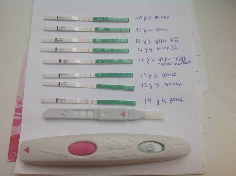 Беременность есть, а тест отрицательный: почему так бывает при наличии признаков и симптомов