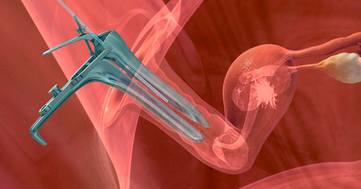 Развитие эмбриона по дням после переноса при эко
