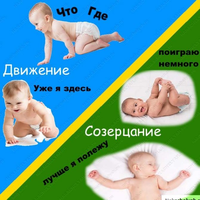 Развитие ребенка от 4 до 5 месяцев. что должен уметь? kukuriku.ru