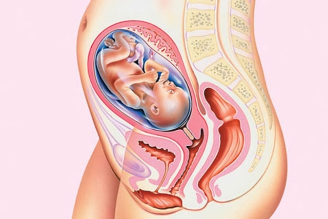 27 неделя беременности - что происходит с малышом и мамой
