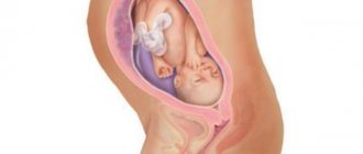 39 неделя беременности предвестники родов у повторнородящих