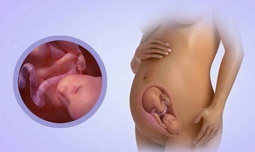 27 неделя беременности: малыш икает и учится различать вкус и запах