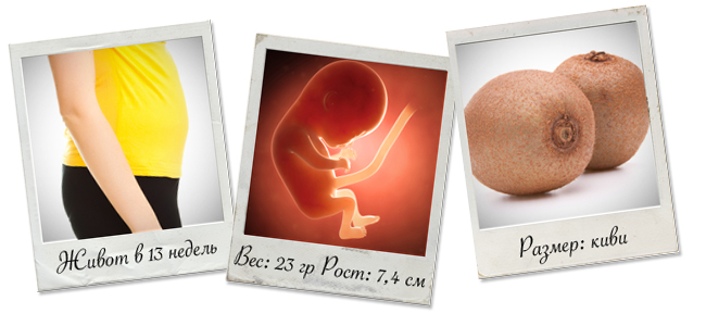 11 неделя беременности: что происходит, ощущения, питание, фото плода на узи