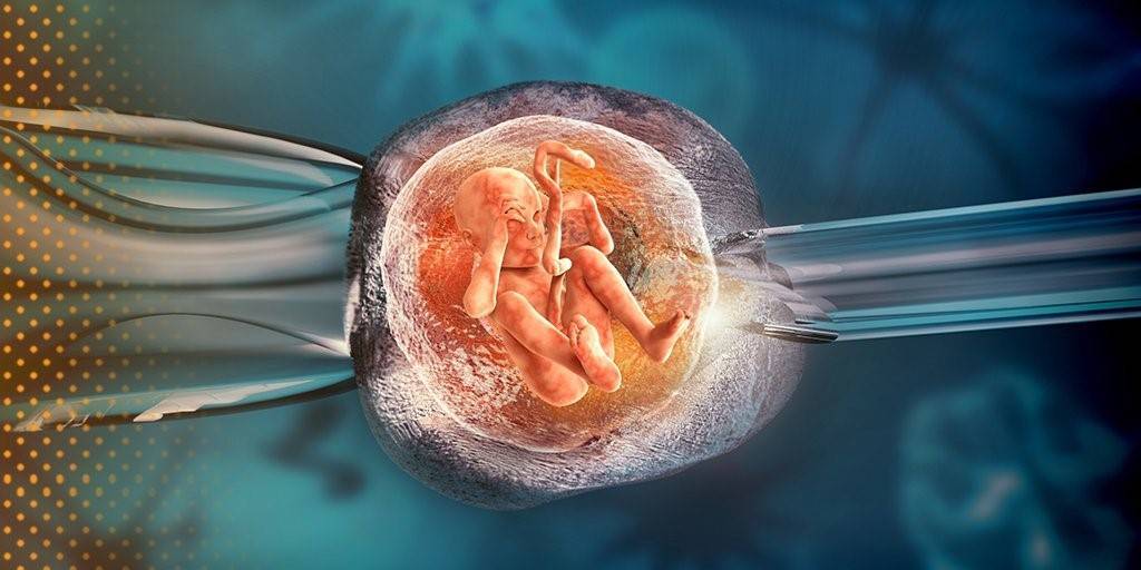 Тонкий эндометрий и эко: размер для переноса эмбрионов