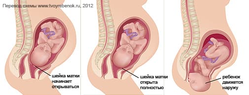 39 неделя беременности: предвестники родов и боли в животе