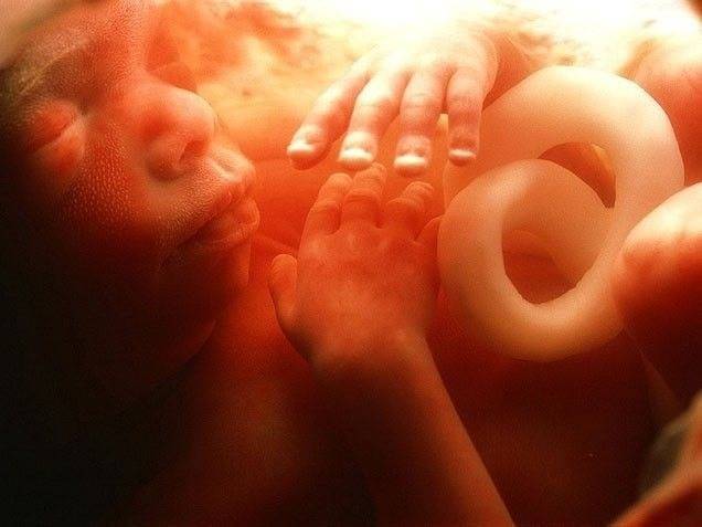 3 неделя беременности: что происходит, фото плода, признаки, симптомы, узи