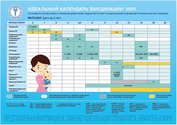 Календарь прививок для детей от рождения до 3 лет: план и таблицы с графиком вакцинации в России