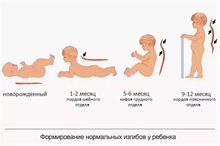 Сколько раз в день нужно выкладывать на живот новорожденного