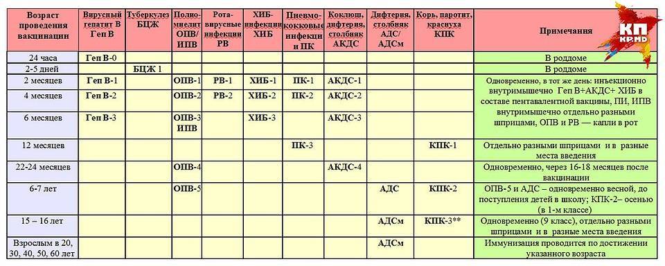 Прививки детям до года: график вакцинации, календарь прививок в росии / mama66.ru