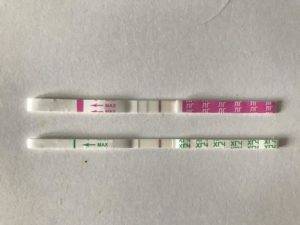 Базальная температура при беременности на ранних сроках до задержки (10 фото): график, как измерить и какая она должна быть при беременности