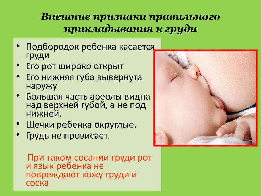 Как правильно кормить новорожденного грудным молоком? сколько раз и сколько времни кормить? как лучше прикладывать к груди и какую позицию выбрать?