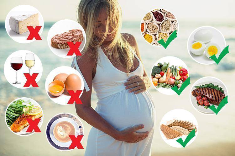 Что можно и нельзя есть беременным на ранних сроках: какие полезные продукты нужно кушать в первом триместре?