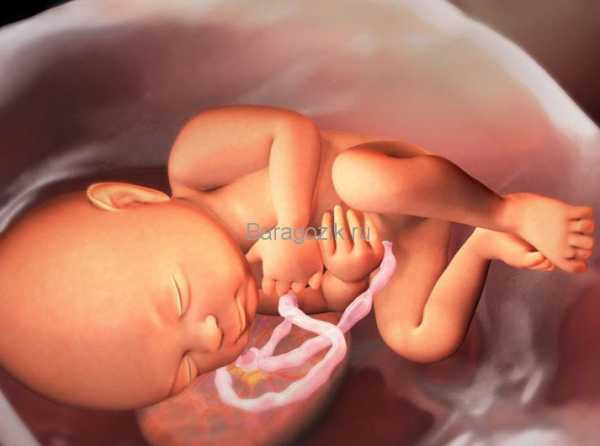 Роды на 38 неделе беременности: особенности, в каких случаях вызывают роды в роддоме, мнение врачей, отзывы