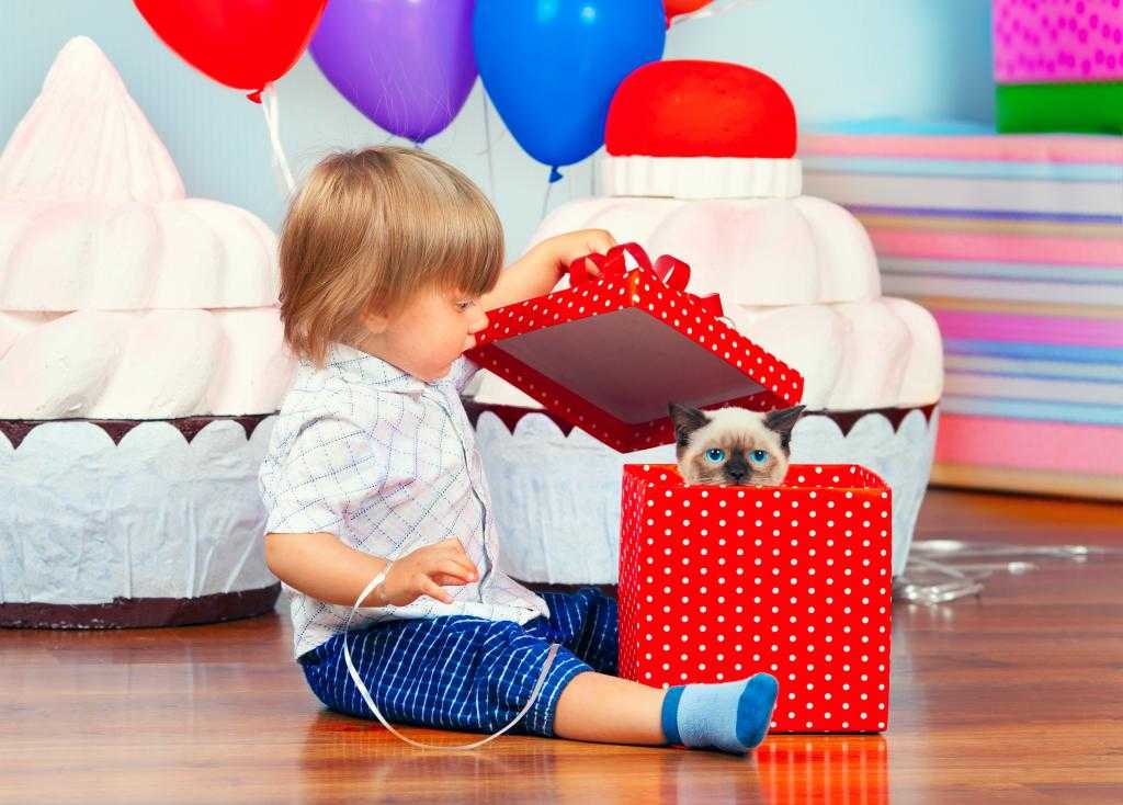 Что подарить мальчику на 1 годик: идеи и рекомендации