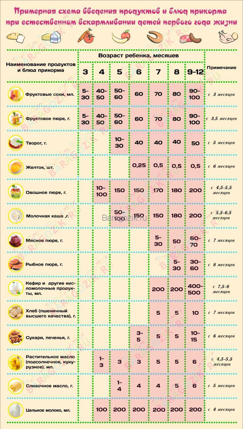Прикорм по месяцам при грудном вскармливании: таблицы введения продуктов, когда начинать, правила, педагогический прикорм