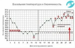 Низкая температура при беременности: нормально ли это? / mama66.ru