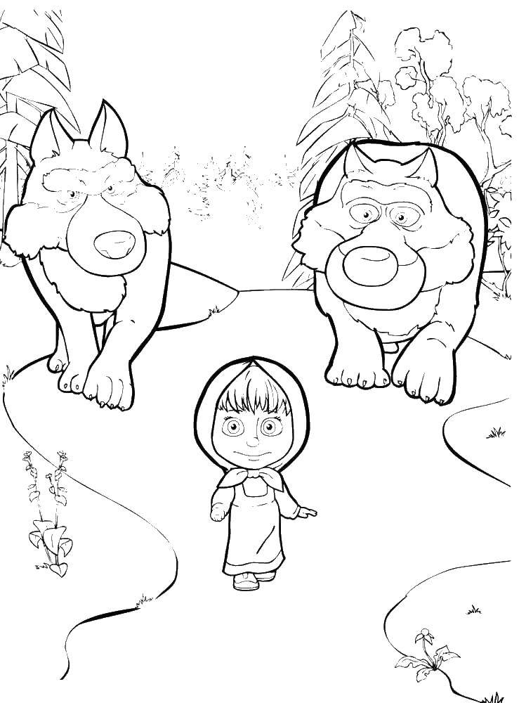 Раскраски из мультфильма маша и медведь