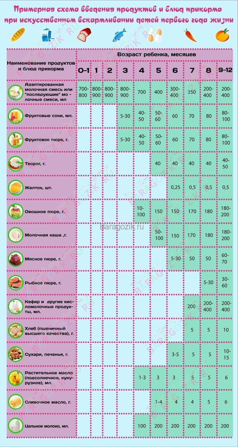 Первый прикорм ребенка при искусственном вскармливании: таблица и схема введения по месяцам