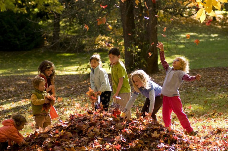 Топ-10 развивающих игр для детей с осенними листьями
