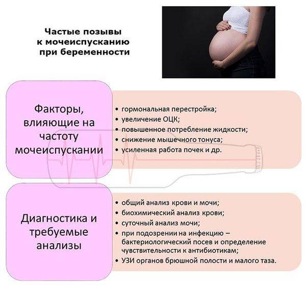 Признаки беременности: на раннем сроке, в первые недели и месяцы, косвенные изменения в ощущениях, необычные знаки, как проявляет себя многоплодное вынашивание