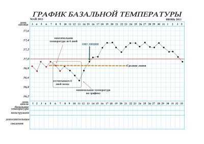 Графики базальной температуры при беременности до задержки с примерами