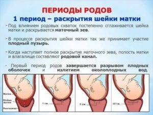 На сколько пальцев должна открыться матка при родах? на сколько сантиметров открывается шейка матки и как ускорить процесс?