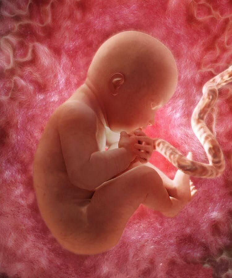 9 месяц беременности: предвестники, признаки и начало родов ~ блог о детях
