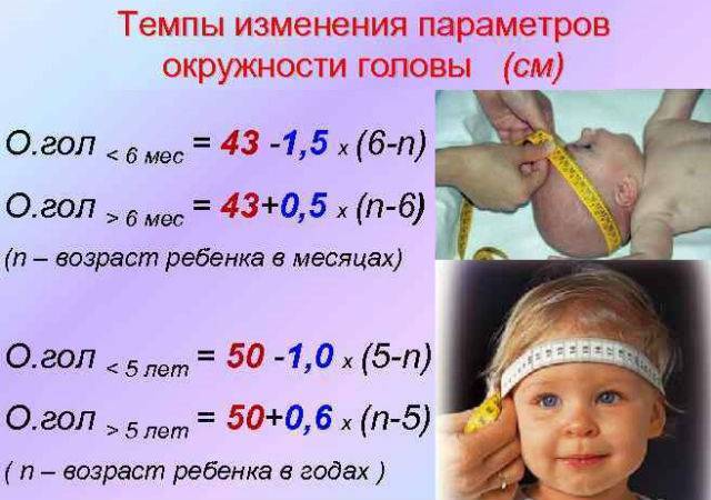 Нормы окружности головы ребенка с 0 до 12 месяцев: таблица, виды отклонений