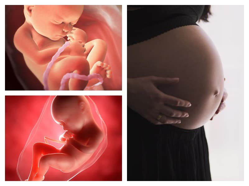 27 неделя беременности (3-й триместр) – мама и малыш