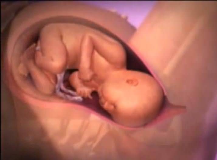 Как защищен ребенок в утробе матери. страхи беременных: можно ли навредить ребенку в утробе? советы экспертов. кислород для младенца