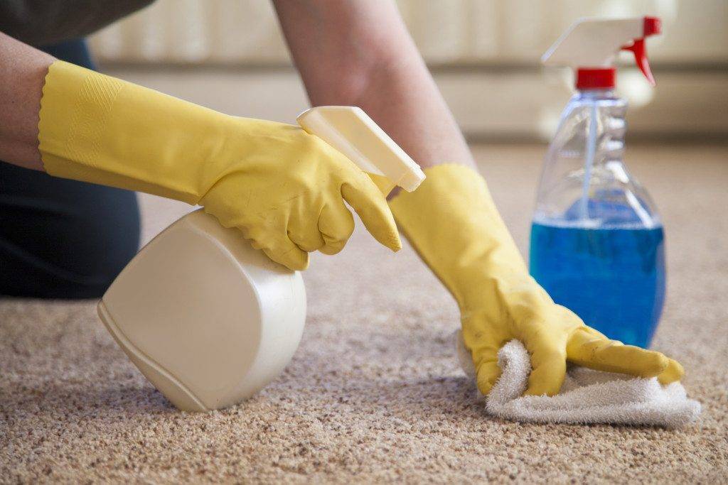 Топ 20 средств и методов, как в домашних условиях убрать с дивана запах мочи