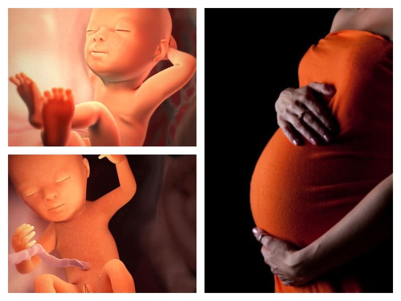 30 неделя беременности: что происходит с малышом и мамой, фото, развитие плода