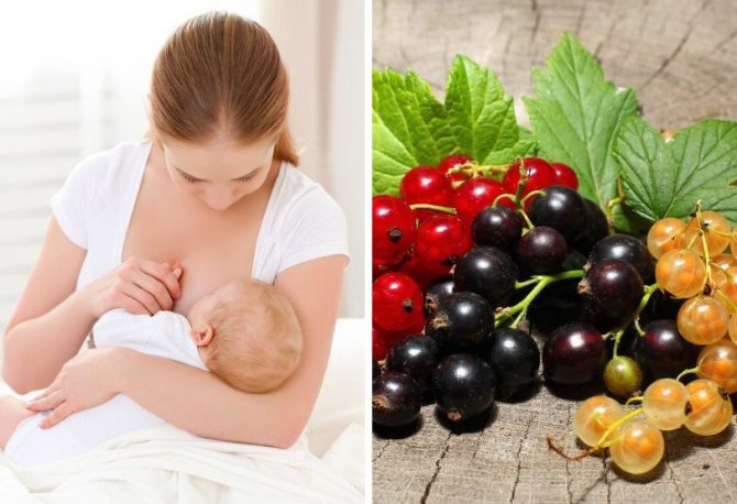 Какие компоты можно пить кормящим мамам в первый месяц при грудном вскармливании из фруктов и ягод