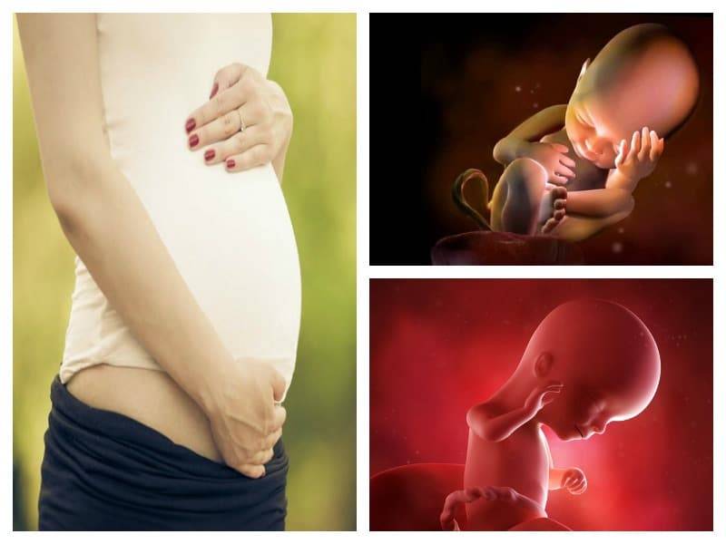 Особенности течения 30-й недели беременности для мамы и малыша