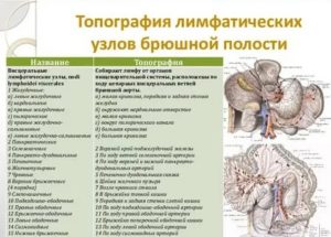 У ребенка увеличены лимфоузлы в брюшной полости, в кишечнике | prof-medstail.ru