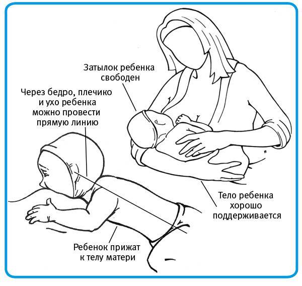 Как правильно прикладывать новорожденного для кормления
