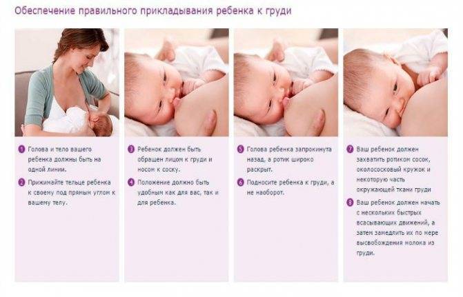 Как правильно прикладывать новорожденного для кормления