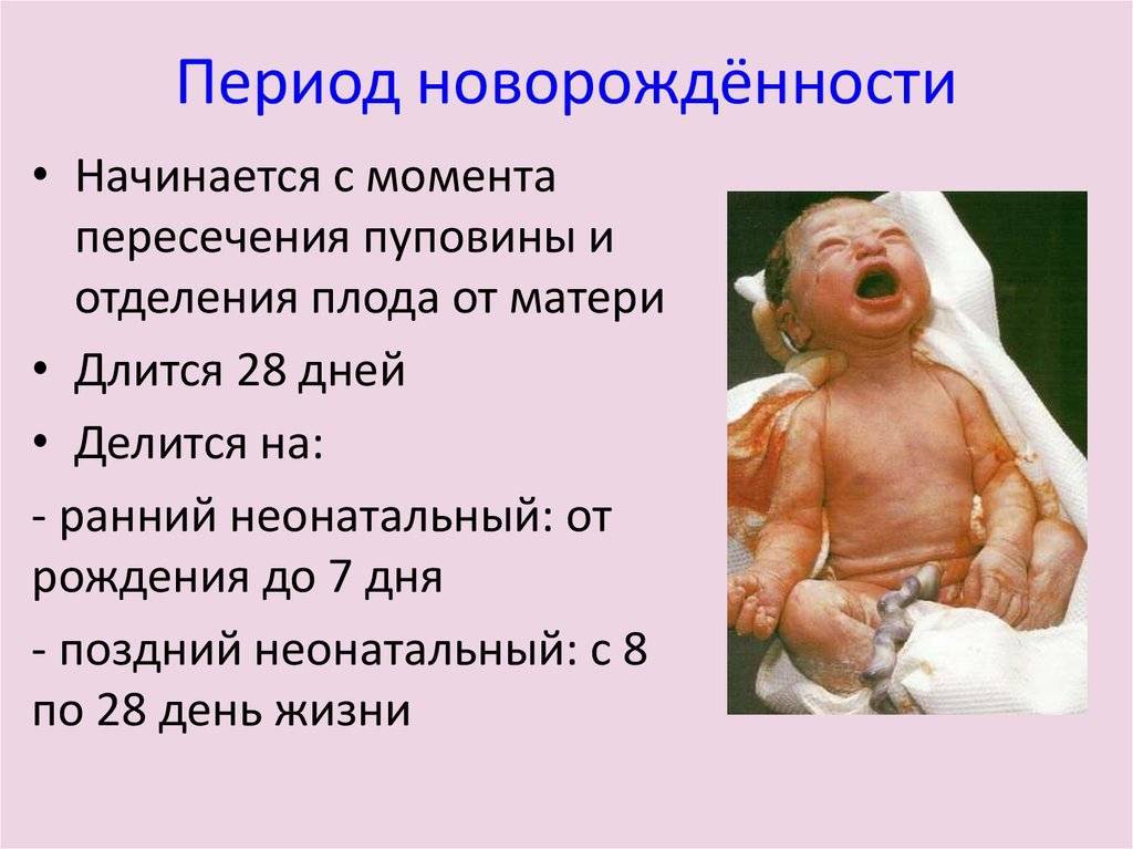 Общая характеристика периода новорожденности: анатомо-физиологические особенности течения периода новорожденности у детей
