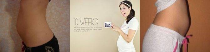 Узи на 8 неделе беременности:размер плода и другие особенности