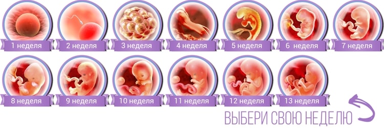 Первые дни беременности: как проявляется зачатие и что делать / mama66.ru
