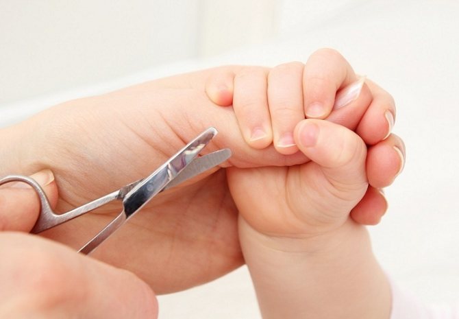 Как правильно подстричь ногти новорожденному, когда можно их обрезать