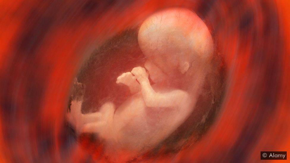 Беременность 13 недель – развитие плода и ощущения женщины